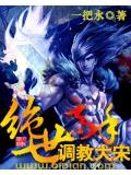 绝世高手调教大宋