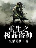 重生之极品盗神
